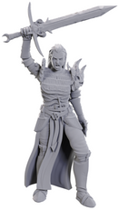 Nolzur's Marvelous Miniatures: Blackguard