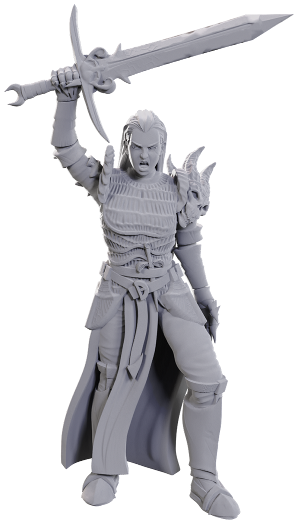 Nolzur's Marvelous Miniatures: Blackguard
