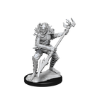 Nolzur's Marvelous Miniatures: Koalinths