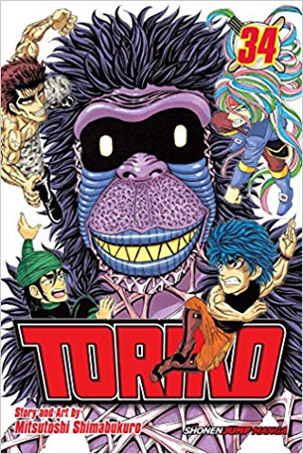 Toriko GN Vol 34