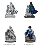 Nolzur's Marvelous Miniatures: Female Tiefling Sorcerer