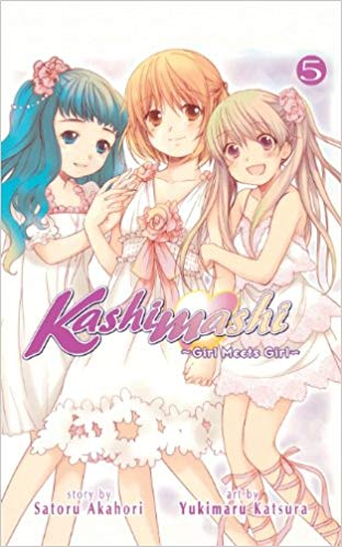 Kashimashi GN Vol 5