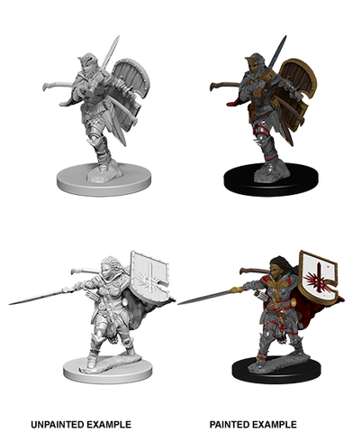 Pathfinder Battles Deep Cuts: Human Female Paladin