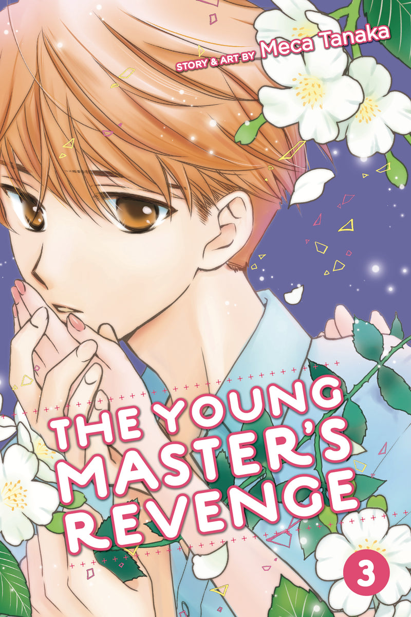 Young Masters Revenge GN Vol 03