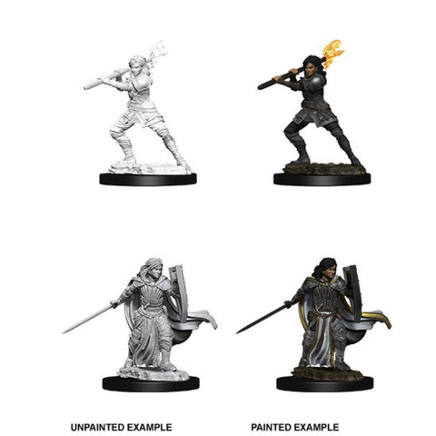 Nolzur's Marvelous Miniatures: Female Human Paladin