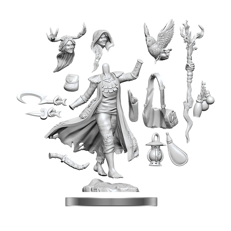 Dungeons & Dragons Frameworks: Human Druid Female
