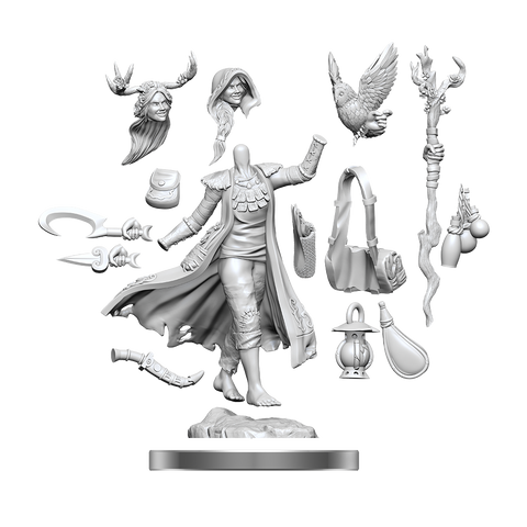Dungeons & Dragons Frameworks: Human Druid Female