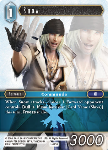 Snow - 1-043H