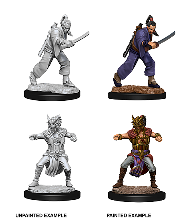 Nolzur's Marvelous Miniatures: Male Human Monk