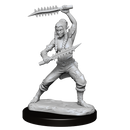 Nolzur's Marvelous Miniatures: Wildhunt Shifter Ranger