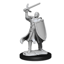 Nolzur's Marvelous Miniatures: Half-Elf Paladin Male