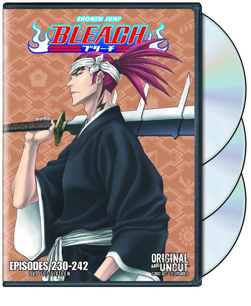 Bleach DVD Vol 16